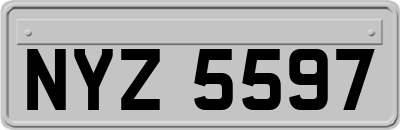 NYZ5597