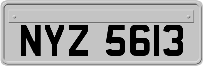 NYZ5613