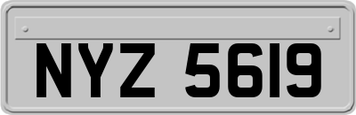 NYZ5619