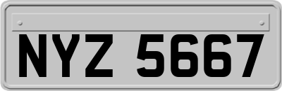 NYZ5667