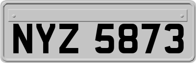 NYZ5873