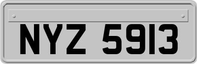 NYZ5913
