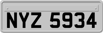 NYZ5934