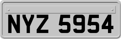 NYZ5954
