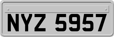 NYZ5957