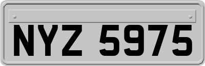 NYZ5975