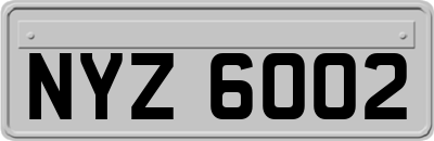 NYZ6002