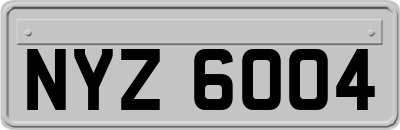 NYZ6004