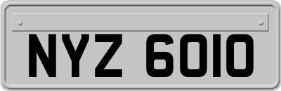 NYZ6010