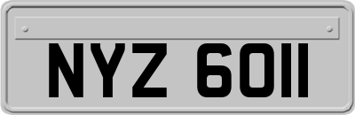 NYZ6011