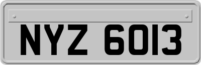 NYZ6013