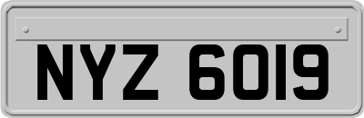 NYZ6019