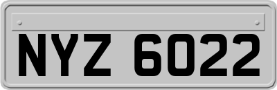 NYZ6022