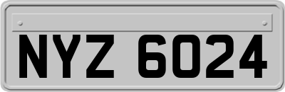 NYZ6024