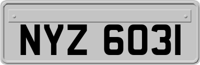 NYZ6031