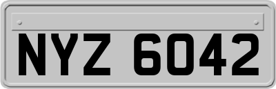 NYZ6042