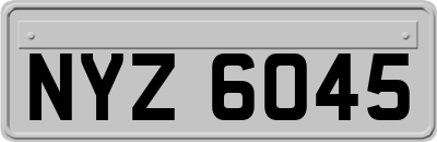 NYZ6045