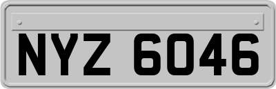 NYZ6046