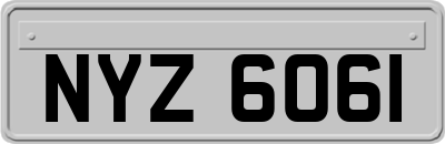 NYZ6061