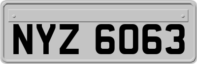 NYZ6063
