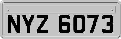 NYZ6073