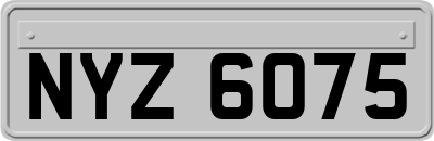 NYZ6075