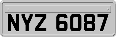 NYZ6087