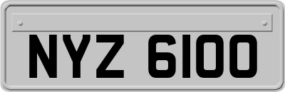 NYZ6100