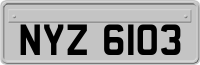 NYZ6103