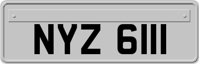 NYZ6111