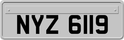 NYZ6119
