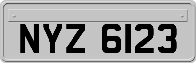 NYZ6123