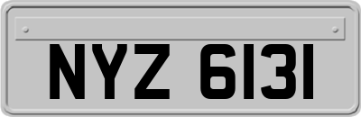 NYZ6131