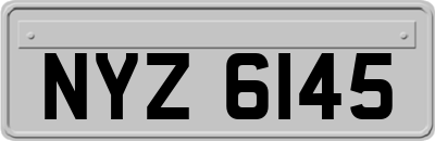 NYZ6145
