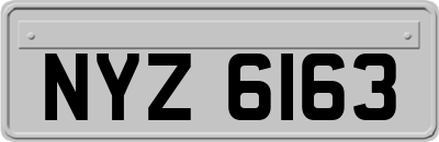NYZ6163