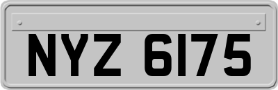 NYZ6175