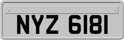 NYZ6181