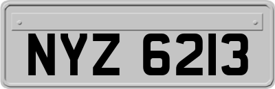 NYZ6213