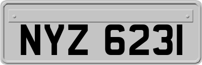 NYZ6231