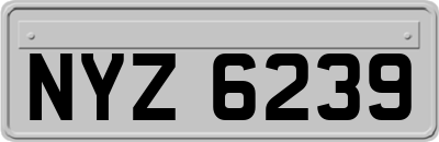 NYZ6239