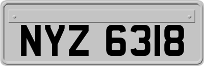 NYZ6318