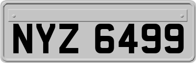 NYZ6499