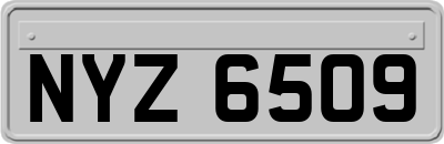NYZ6509