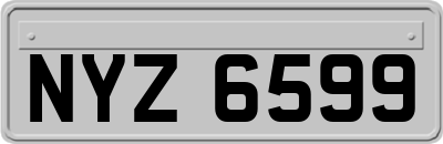 NYZ6599