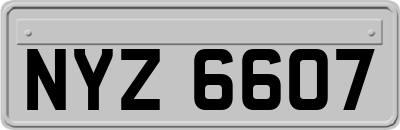 NYZ6607