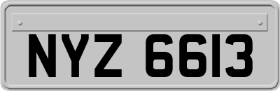 NYZ6613