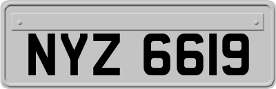 NYZ6619
