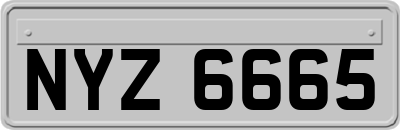 NYZ6665