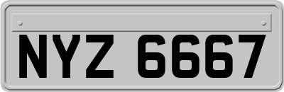 NYZ6667