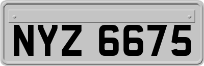 NYZ6675